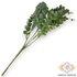 Kép 3/4 - Mű zöld euphorbia cotinifolia csokor közepes 5 szál 42 cm - zöld hátul