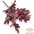 Kép 1/3 - Mű bükk köteg 3 szál antik selyem 53 cm - kosenilvörös szemből