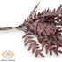 Kép 2/4 - Mű zöld pleopeltis polypodioides köteg 3 szál antik 50 cm - vörös közeli