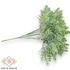 Kép 3/4 - Mű zöld gyopáros üröm köteg 7 szál 24 cm - hamvas oldalt
