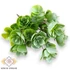 Kép 1/3 - Mű zöld sedum tarnatum csokor 5 szál 31 cm - hamvas szemből