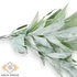 Kép 3/4 - Mű zöld halfarokpálma bokor 8 szál 66 cm - hamvas oldalt