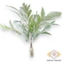 Kép 2/4 - Mű zöld halfarokpálma bokor 8 szál 66 cm - hamvas váza