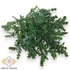 Kép 1/3 - Mű zöld hegyeslevelű libatop csokor 7 szál 36 cm - sötétzöld szemből