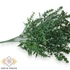 Kép 2/3 - Mű zöld hegyeslevelű libatop csokor 7 szál 36 cm - sötétzöld közeli