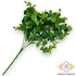 Kép 3/4 - Mű zöld ráncos törpebors csokor 5 szál 38 cm - sötétzöld hátul