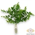Kép 4/4 - Mű zöld ráncos törpebors csokor 5 szál 38 cm - sötétzöld álló