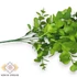 Kép 3/4 - Mű zöld crassula multicava csokor 5 szál 38 cm - zöld oldalt