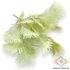 Kép 1/4 - Mű zöld pávatoll csokor antik 5 szál 36 cm - törtfehér szemből