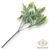 Kép 3/3 - Mű zöld senega polygala csokor 5 szál 30 cm - törtfehér hátul
