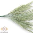 Kép 3/4 - Mű zöld mexikói zsálya csokor 7 szál 38 cm - törtfehér közeli