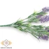 Kép 2/3 - Mű zöld bugás veronika csokor 7 szál 34 cm - lila közeli