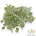 Kép 1/4 - Mű zöld astragalus hamosus vegyes csokor 5 szál 34 cm - zöld szemből