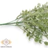 Kép 3/4 - Mű zöld astragalus hamosus vegyes csokor 5 szál 34 cm - zöld közeli