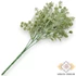 Kép 4/4 - Mű zöld astragalus hamosus vegyes csokor 5 szál 34 cm - zöld hátul