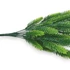 Kép 2/3 - Mű zöld oszlopos araukária csokor 7 szál 33 cm - hamvas oldalt