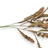 Kép 2/4 - Mű zöld microsorum pteropus csokor 3 szál 51 cm - barna közeli