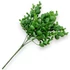 Kép 4/4 - Mű zöld crassula multicava csokor 5 szál 38 cm - sötétzöld hátul