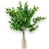 Kép 2/4 - Mű zöld carissa macrocarpa csokor 5 szál 32 cm - zöld álló