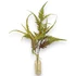 Kép 4/4 - Mű pteris dentata csokor gumis 3 szál 57 cm - zöld álló