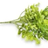 Kép 2/3 - Mű zöld vegyes gazvirág csokor 5 szál 36 cm - világoszöld közeli