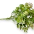 Kép 2/3 - Mű zöld vegyes gazvirág csokor 5 szál 36 cm - mályva cirmos közeli