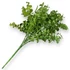 Kép 3/4 - Mű zöld lophomyrtus bullata csokor 5 szál 36 cm - sötétzöld hátul