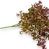 Kép 2/4 - Mű zöld lophomyrtus bullata csokor 5 szál 36 cm - bíbor közeli