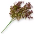 Kép 3/4 - Mű zöld lophomyrtus bullata csokor 5 szál 36 cm - bíbor hatul