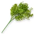 Kép 3/4 - Mű zöld lophomyrtus bullata csokor 5 szál 36 cm - világoszöld hátul