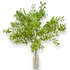 Kép 4/4 - Mű zöld lophomyrtus bullata csokor 5 szál 36 cm - világoszöld álló