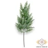 Kép 4/4 - Mű zöld boróka ág 65 cm - sötétzöld álló