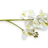 Kép 2/3 - Mű lepke orchidea szál gumibevonatos kicsi 60 cm - fehér közeli