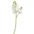 Kép 3/3 - Mű lepke orchidea szál gumibevonatos kicsi 60 cm - fehér álló