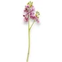 Kép 3/3 - Mű lepke orchidea szál gumibevonatos kicsi 60 cm - bordó pöttyös álló