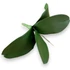 Kép 1/4 - Mű orchidea levél közepes bevonatos 22,5 cm - sötétzöld ferde