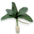 Kép 2/4 - Mű orchidea levél kicsi bevonatos 22 cm - sötétzöld álló