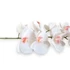 Kép 2/3 - Mű gumibevonatos phalaenopsis szál 98 cm - rózsaszín közép közeli