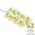 Kép 1/3 - Mű gumibevonatos phalaenopsis szál 98 cm - zöld szemből