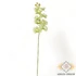 Kép 3/3 - Mű gumibevonatos phalaenopsis szál 98 cm - zöld álló