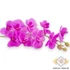 Kép 2/3 - Mű gumibevonatos phalaenopsis szál 98 cm - ciklámen közeli