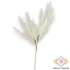 Kép 3/3 - Mű pampafű szár 119 cm - törtfehér álló