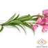 Kép 2/3 - Mű cymbidium szál levelekkel selyem 110 cm - pink közeli