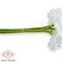 Kép 2/4 - Mű gerbera köteg 6 szál selyem 50 cm - fehér közeli