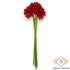 Kép 4/4 - Mű gerbera köteg 6 szál selyem 50 cm - piros álló
