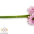 Kép 2/4 - Mű gerbera köteg 6 szál selyem 50 cm - barbie-rózsaszín közeli