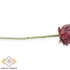 Kép 4/4 - Mű protea szál selyem 62 cm - vörös közeli