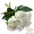 Kép 3/4 - Mű illatos rózsa köteg 6 szál bársony 51 cm  - törtfehér ferde