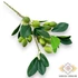 Kép 1/4 - Mű kalamata olajbogyó ág hungarocell 48 cm - zöld szemből