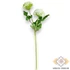 Kép 3/3 - Mű zöld gömb dália szál 52 cm - fehér álló
